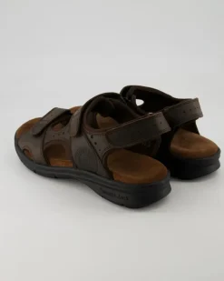 Salton Basics C1 Sandalen in Braun