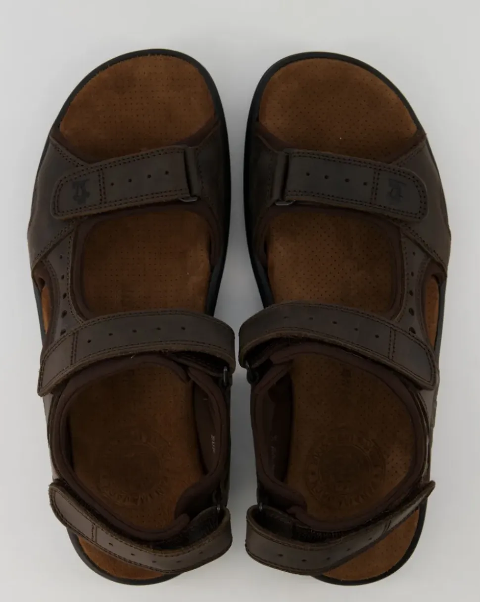 Salton Basics C1 Sandalen in Braun
