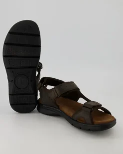Salton Basics C1 Sandalen in Braun