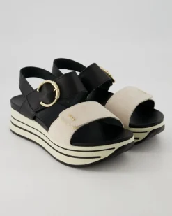 3678144/5679155 Sandalen in Schwarz