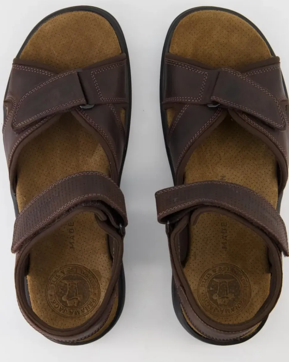 Sanders Basics C1 Sandalen in Braun