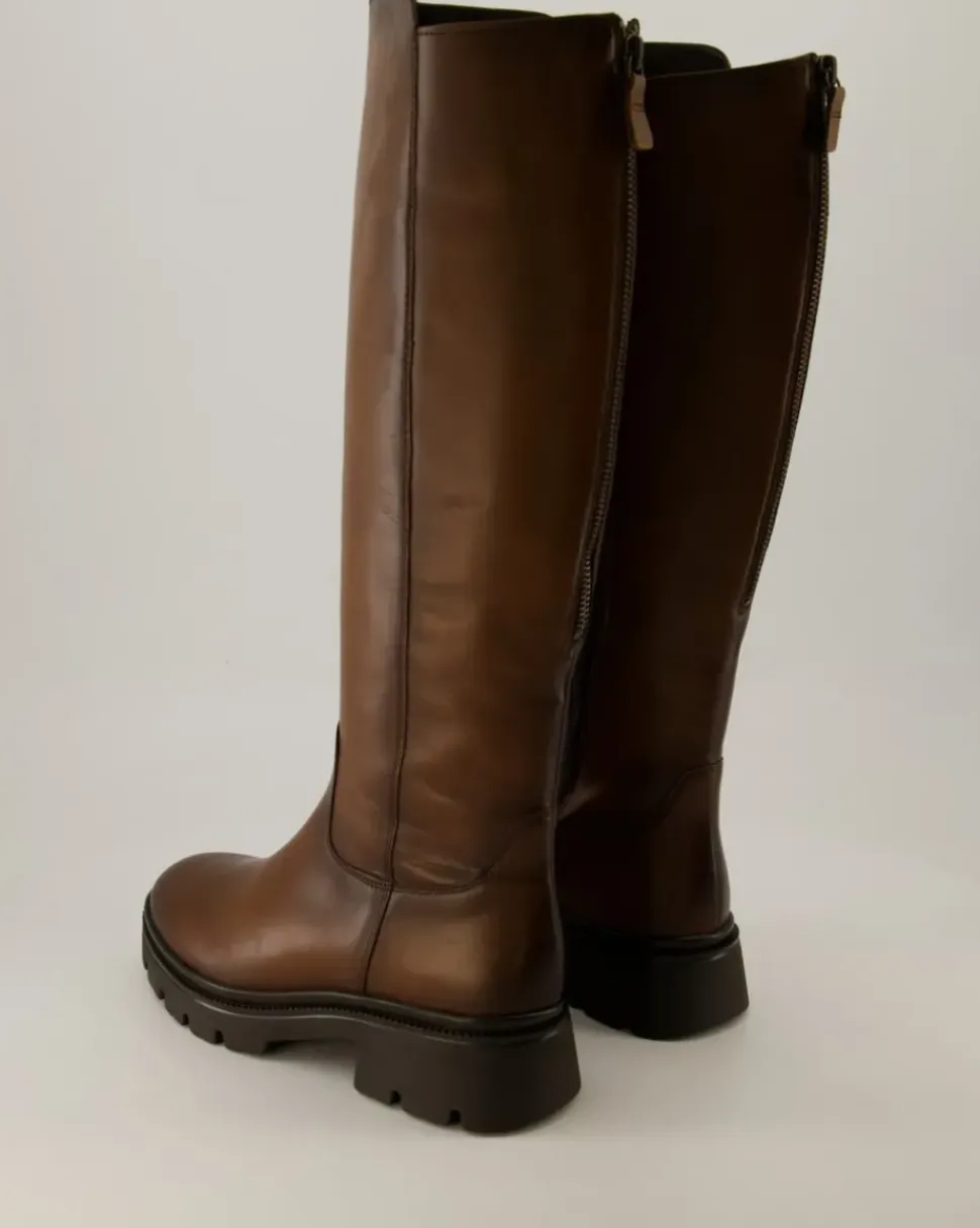 31.859.24 Schaftstiefel in Braun