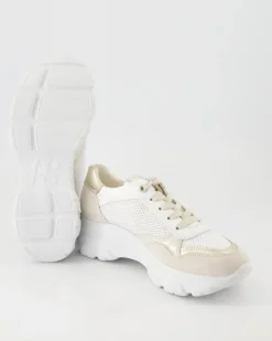 5422 Schnürschuhe in Beige