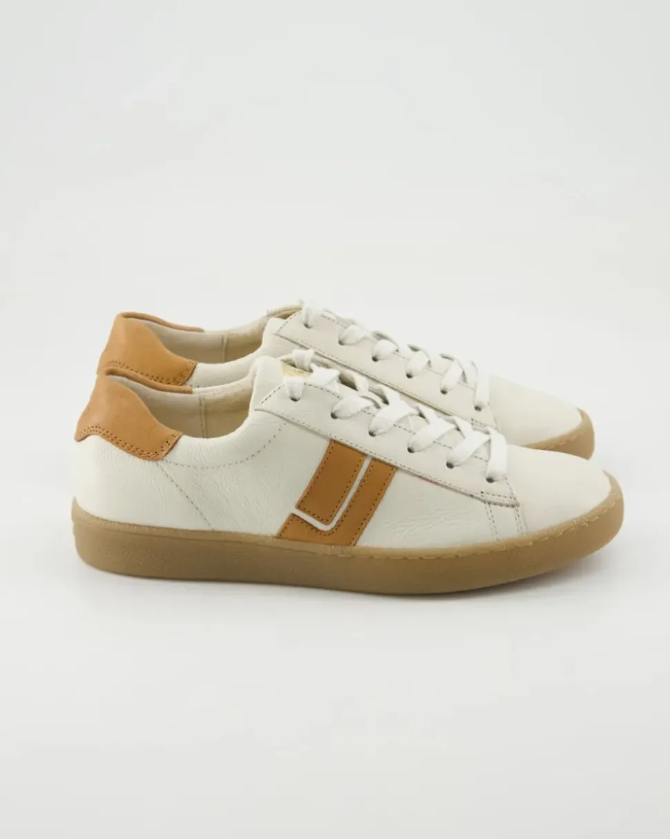5464 Sneaker in Beige