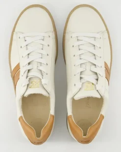5464 Sneaker in Beige