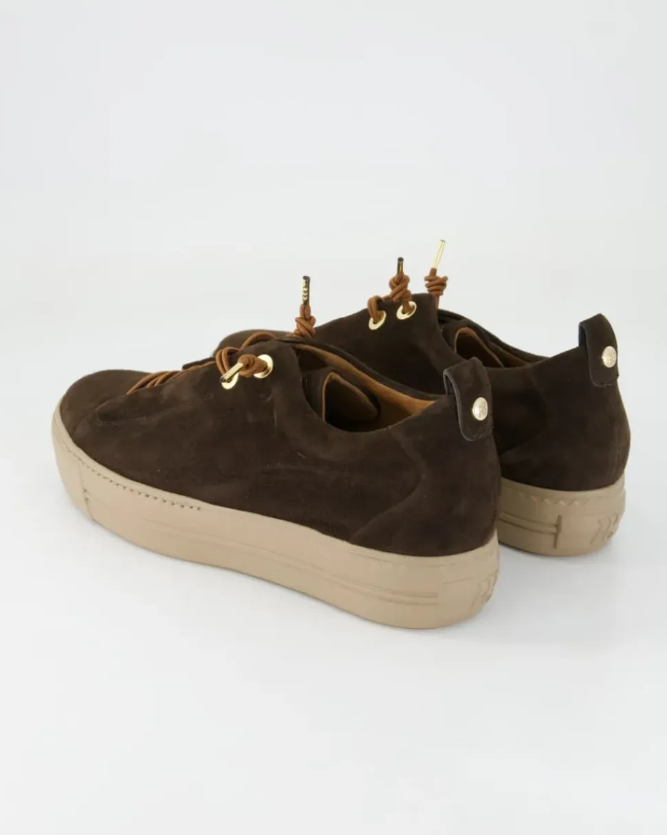 5017 Sneaker in Braun
