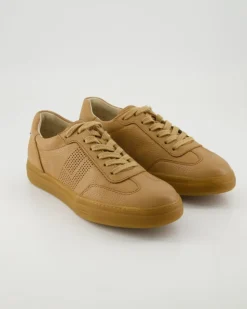 5409 Sneaker in Braun
