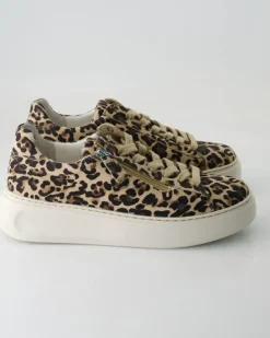 66.488.90 Sneaker in Braun