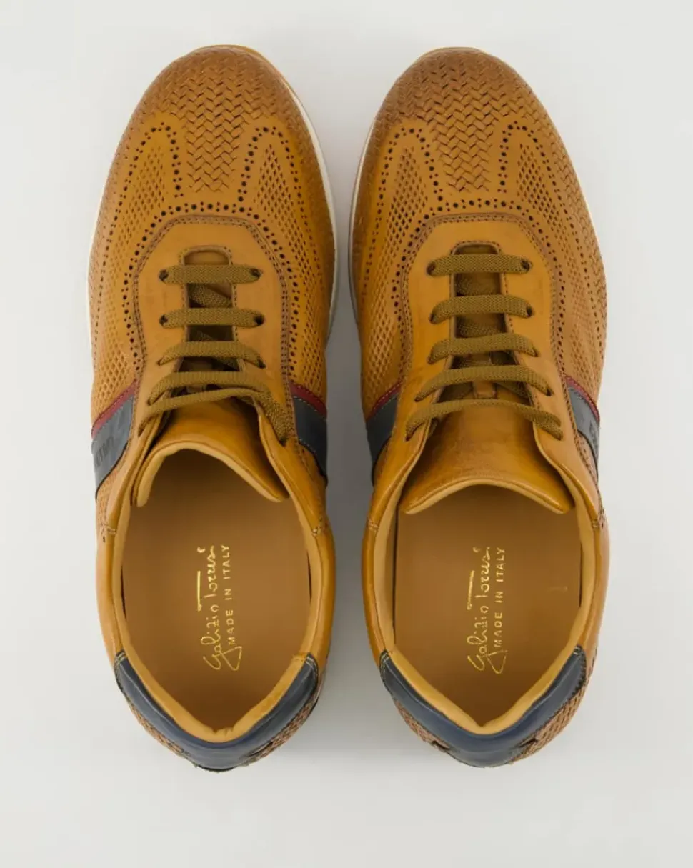 70404 Sneaker in Braun