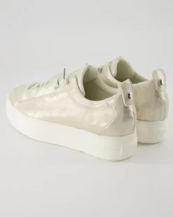 5017-127 Sneaker in Gold