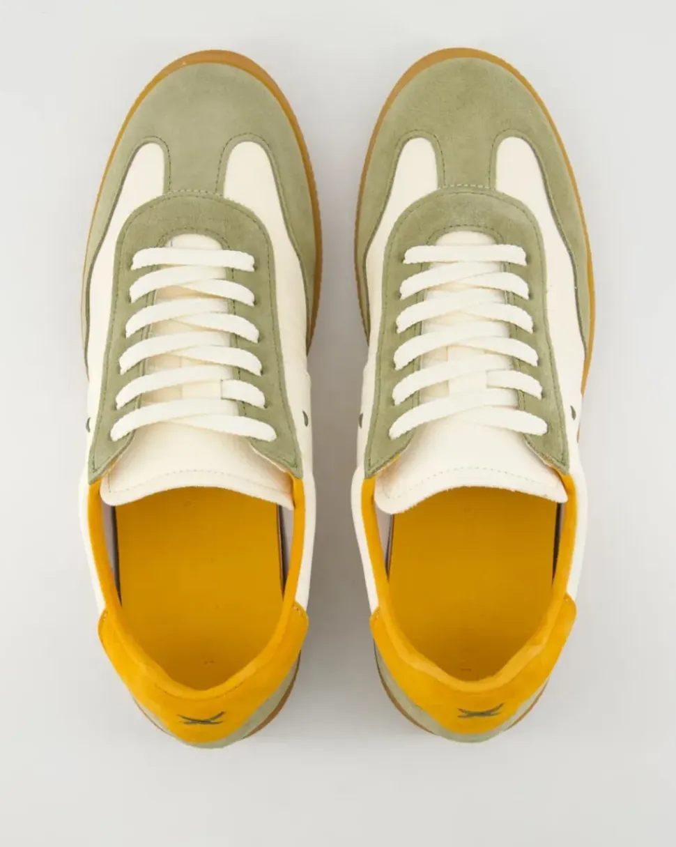 15531 Sneaker in Grün