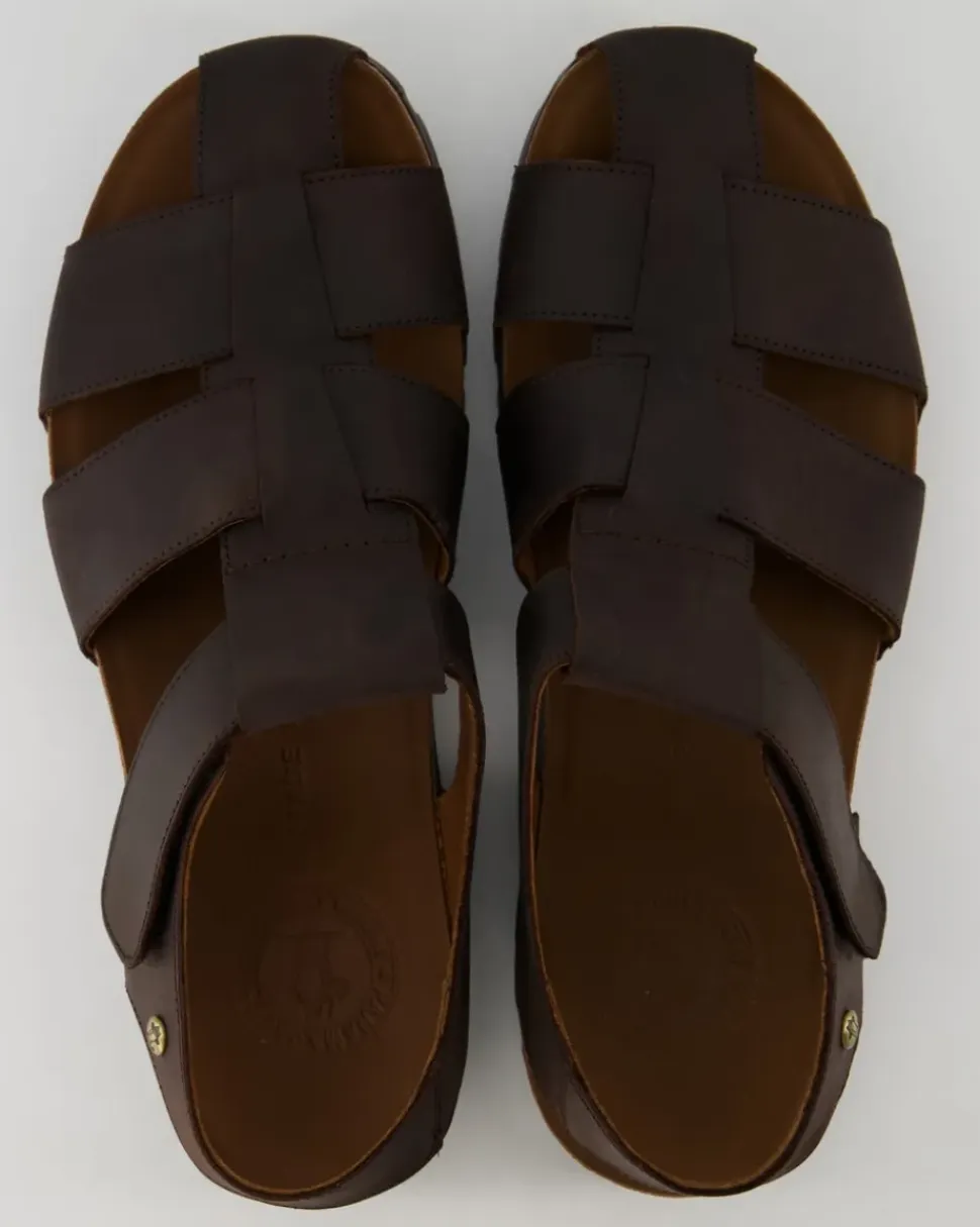 Stanley C6 Sandalen in Braun