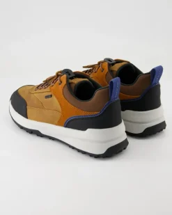 Sterratrail Sneaker in Braun