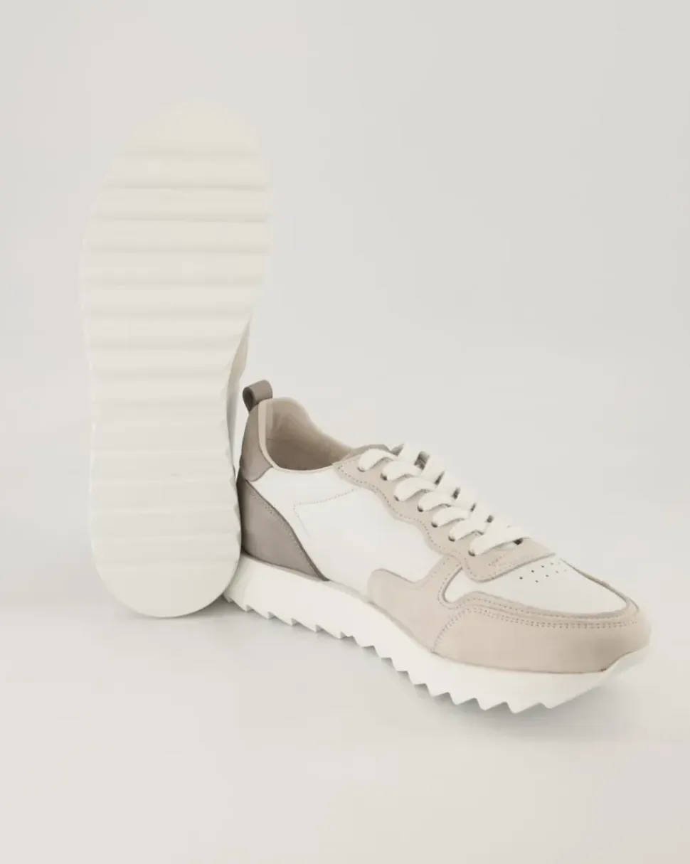 Stroke Sneaker in Weiß