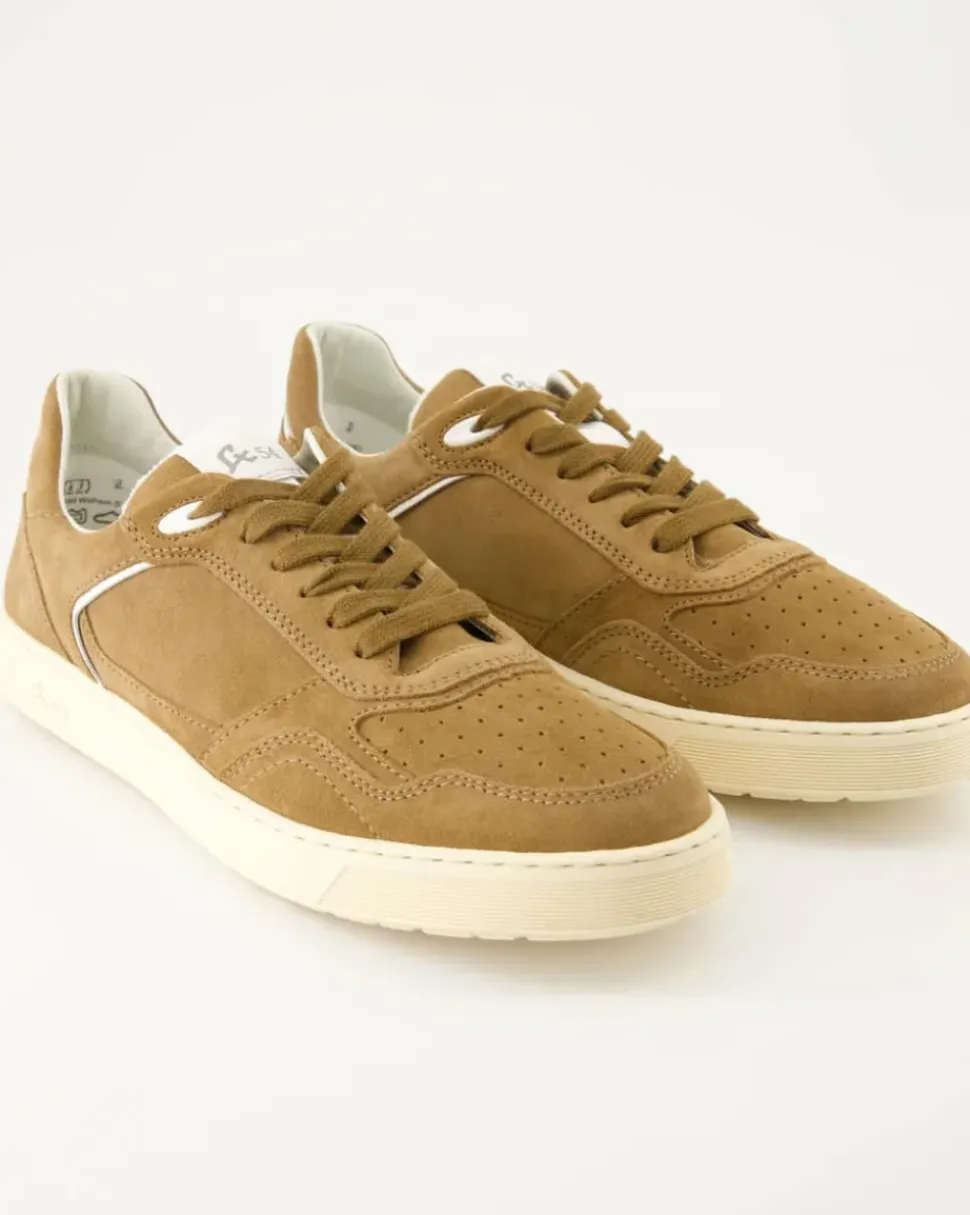 Tedroso-704 Schnürschuhe in Braun