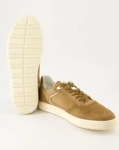 Tedroso-704 Schnürschuhe in Braun
