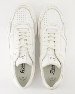 Tedroso-704 Sneaker in Weiß