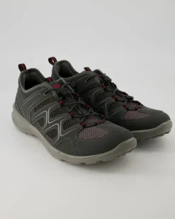 Terracruise LT M Wanderschuhe in Grau