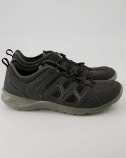 Terracruise LT M Wanderschuhe in Grau