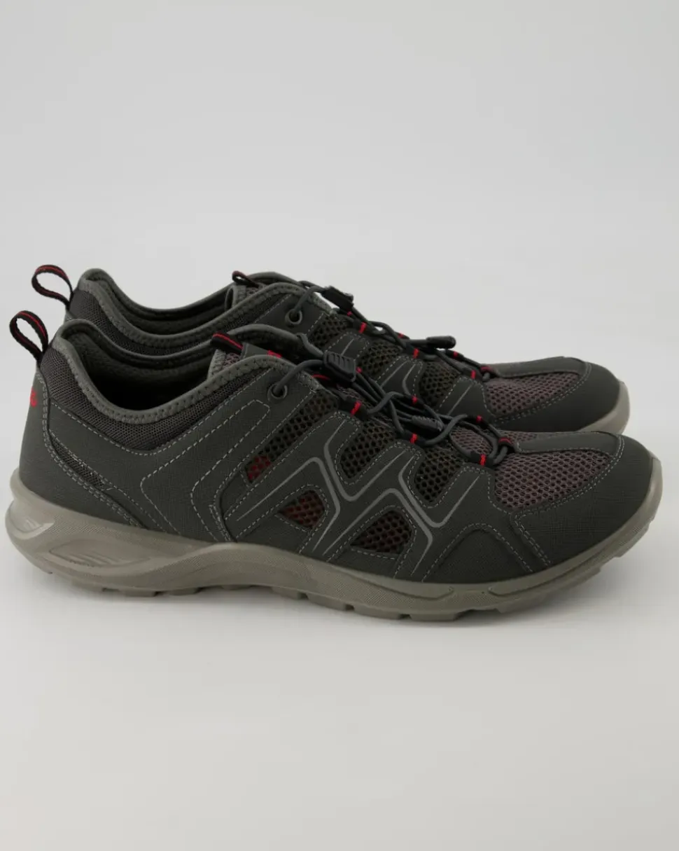 Terracruise LT M Wanderschuhe in Grau