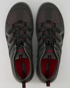 Terracruise LT M Wanderschuhe in Grau