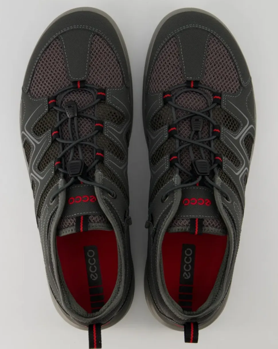 Terracruise LT M Wanderschuhe in Grau