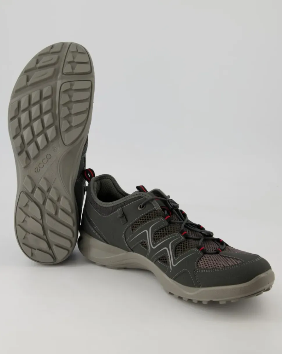 Terracruise LT M Wanderschuhe in Grau