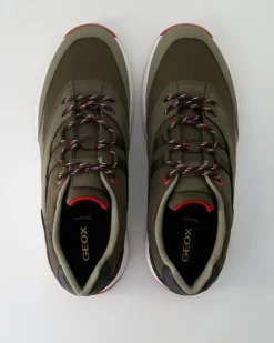 Terrestre Sneaker in Grün