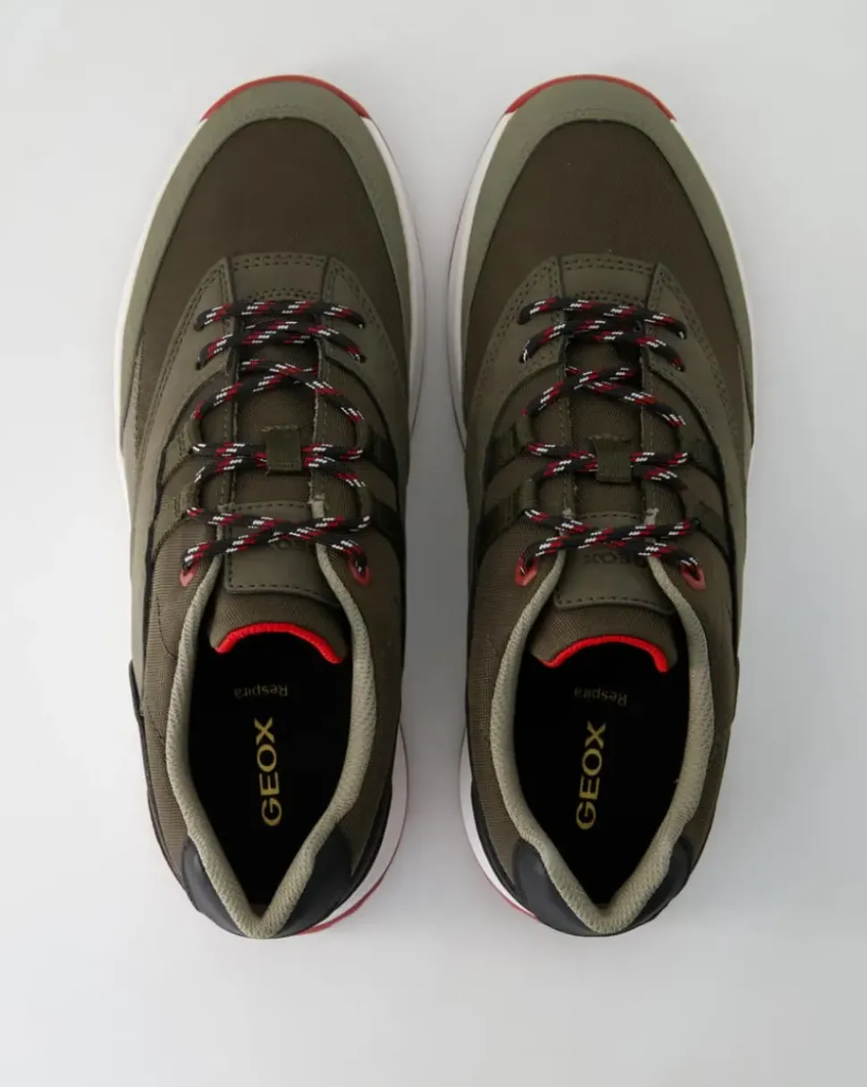 Terrestre Sneaker in Grün