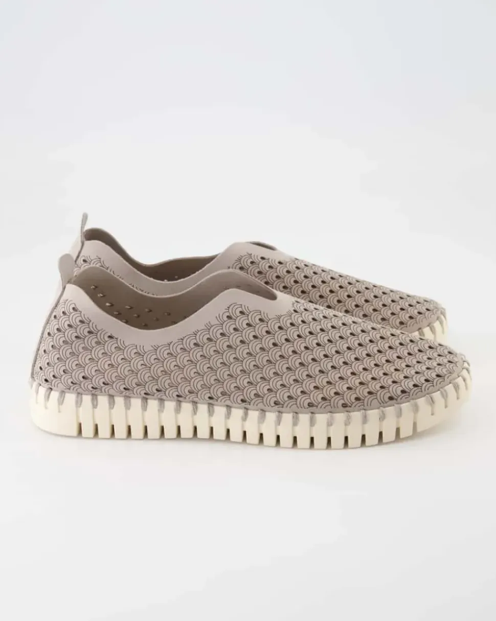 Tulip3275 Slipper in Grau