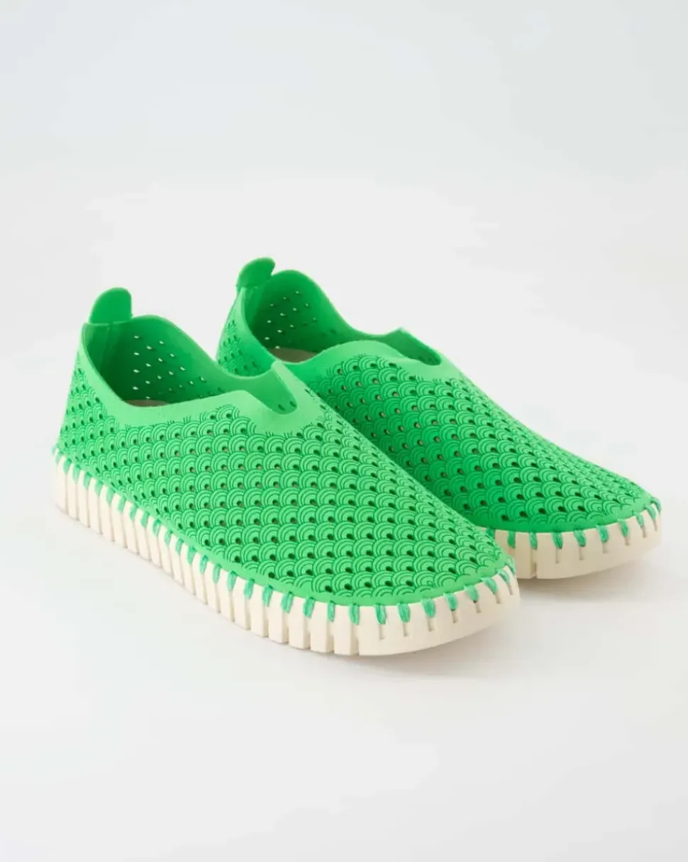 Tulip3275 Slipper in Grün
