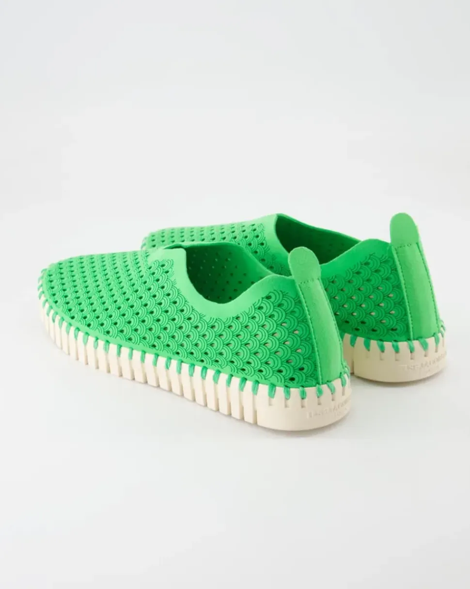 Tulip3275 Slipper in Grün