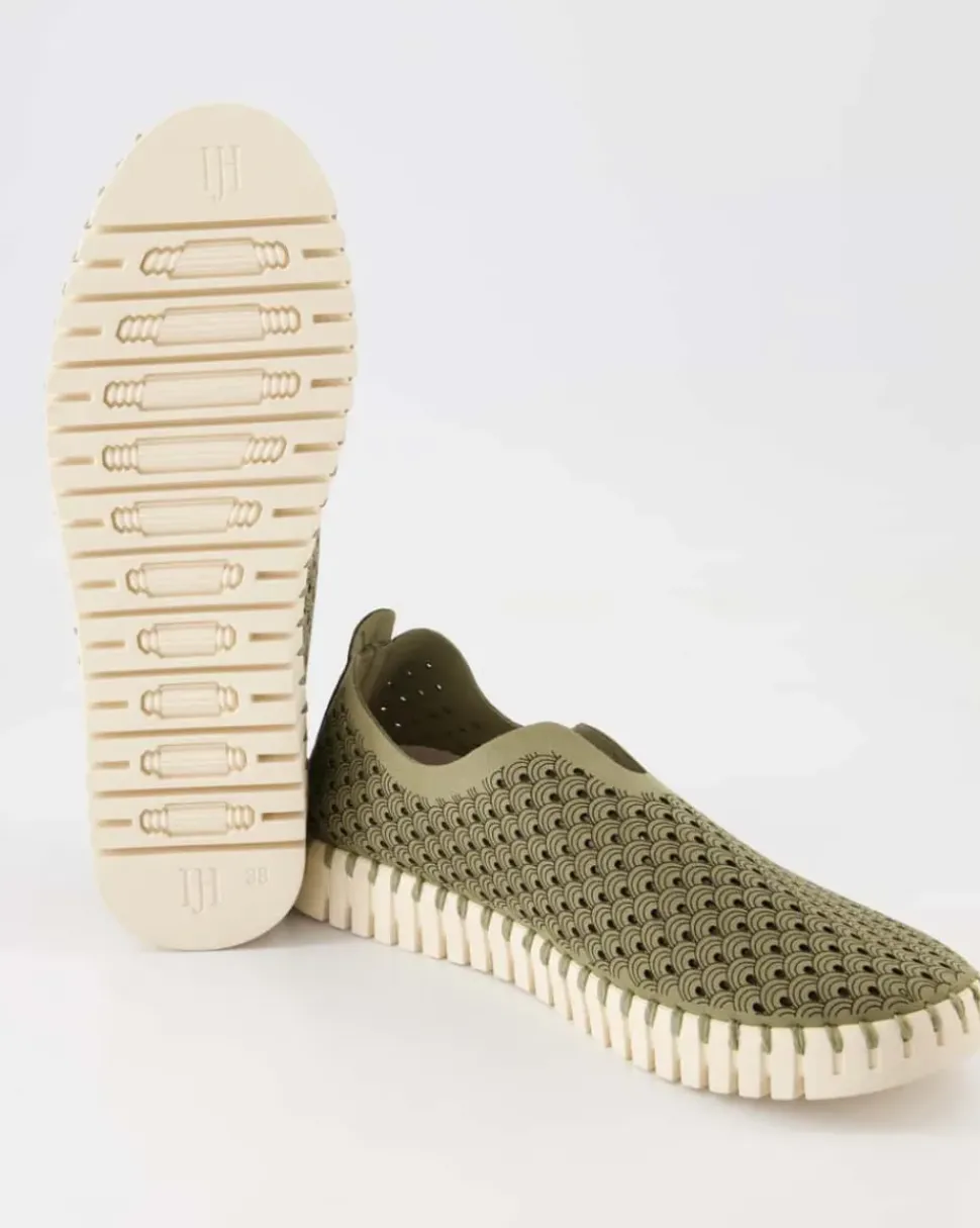 Tulip3275 Slipper in Grün
