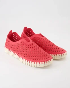 Tulip3275 Slipper in Pink