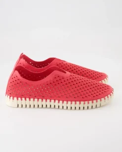 Tulip3275 Slipper in Pink