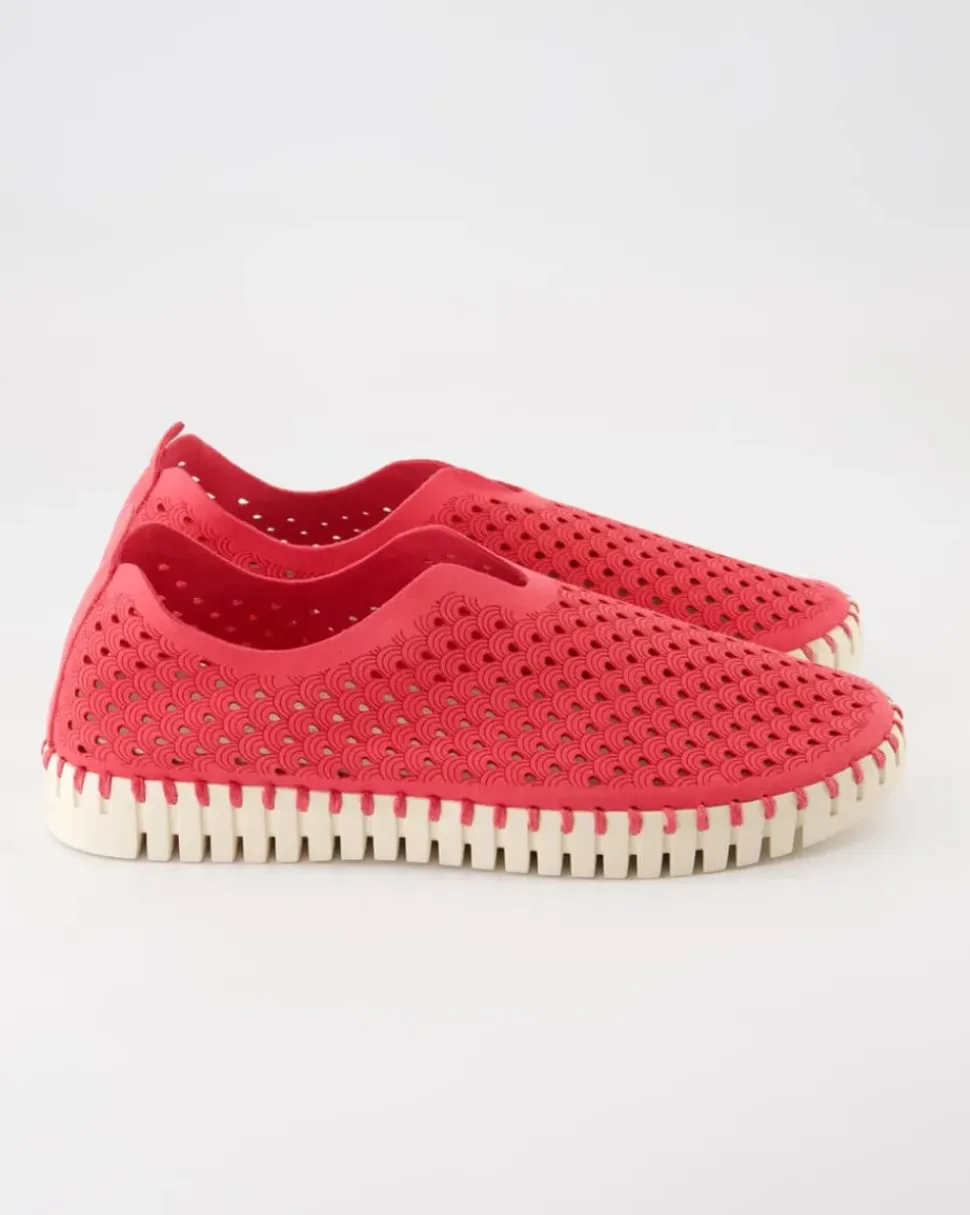Tulip3275 Slipper in Pink