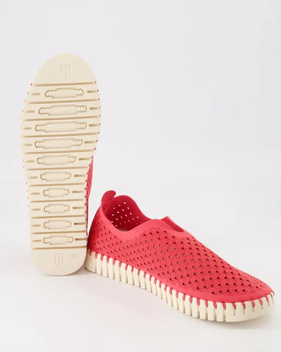 Tulip3275 Slipper in Pink