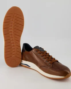 Turibio-710-J Sneaker in Braun