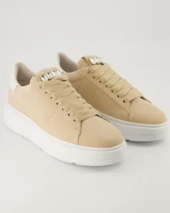 Turn Schnürschuhe in Beige