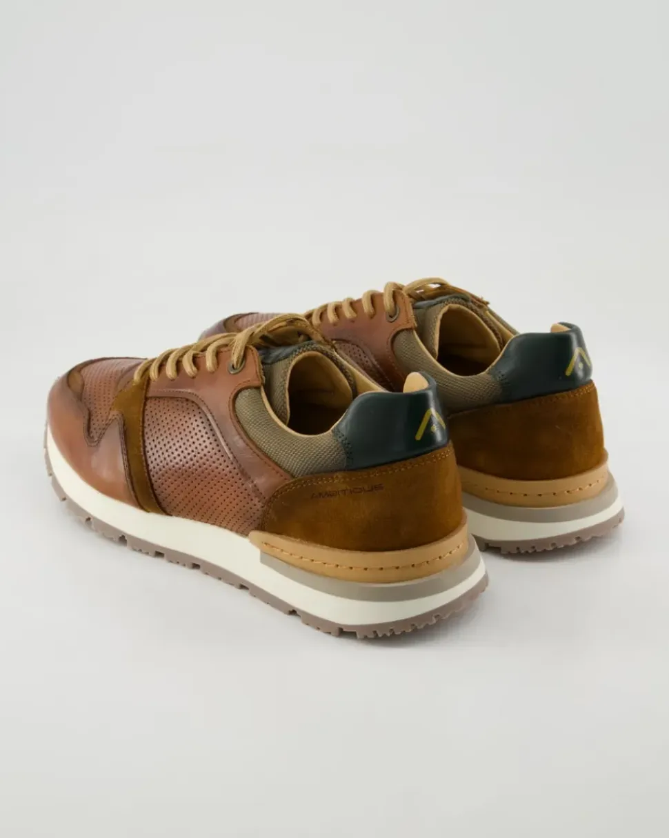 Vince Sneaker in Braun