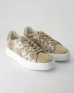 V250217-401 Sneaker in Braun