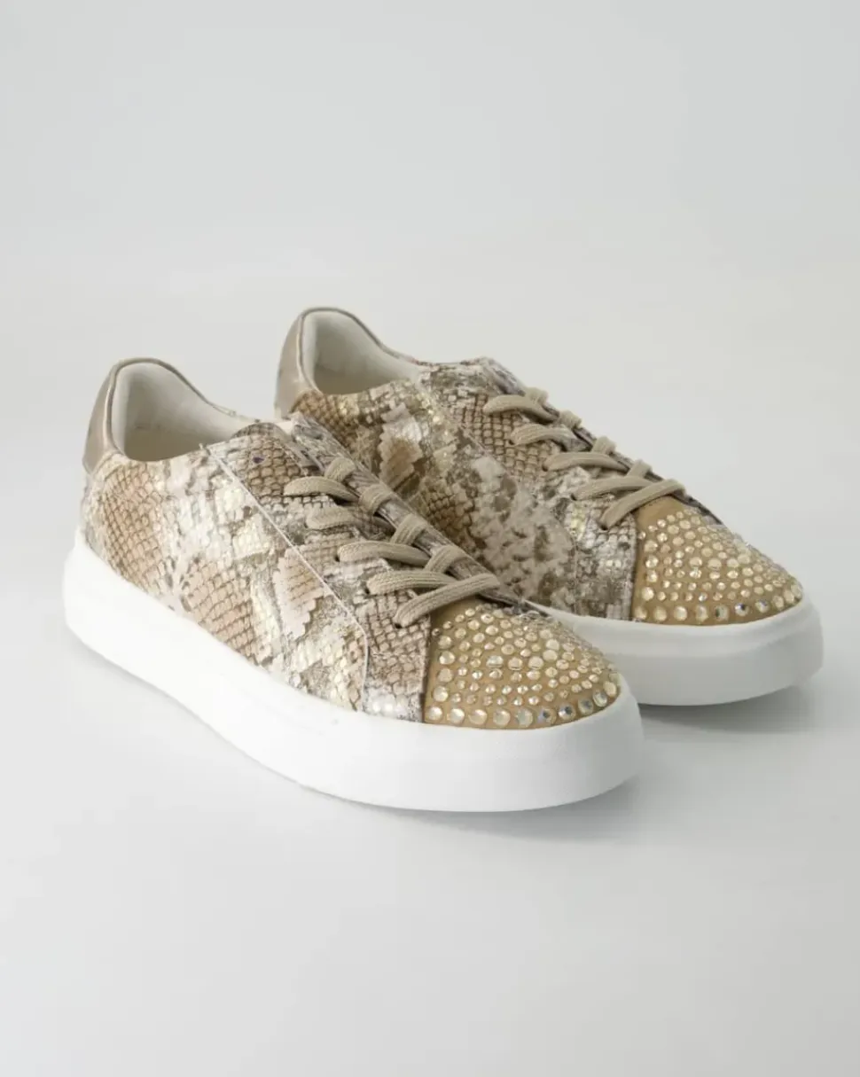 V250217-401 Sneaker in Braun