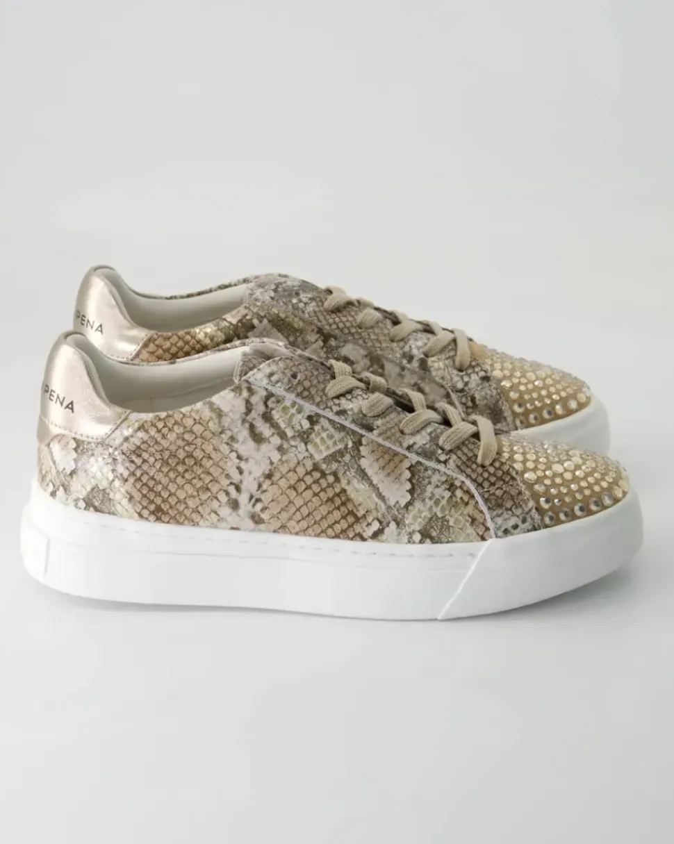 V250217-401 Sneaker in Braun