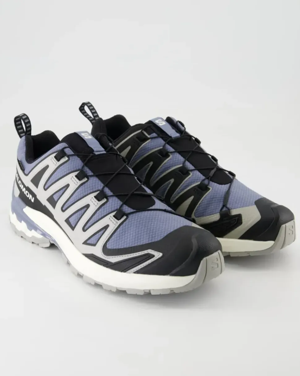XA PRO 3D V9 Wanderschuhe in Grau