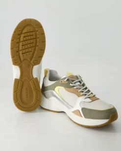 Zarvia Sneaker in Mehrfarbig